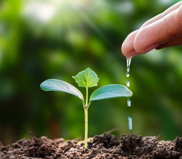 ��ʱ������(�й���)�������ǲ�!